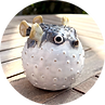 Pufferfish