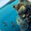 Thumbnail: Coral cove