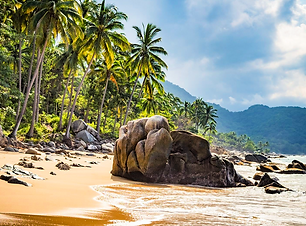 PuertoVallarta.png