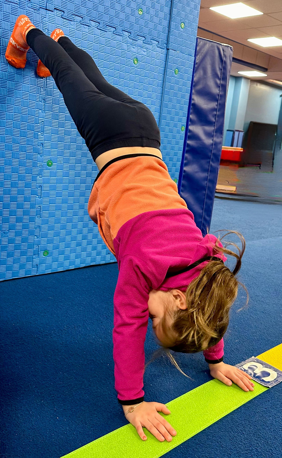 Untitled design (19).png