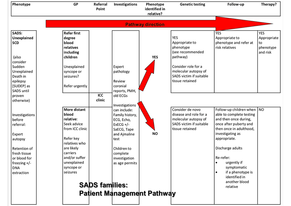 SADs families management pathway.png
