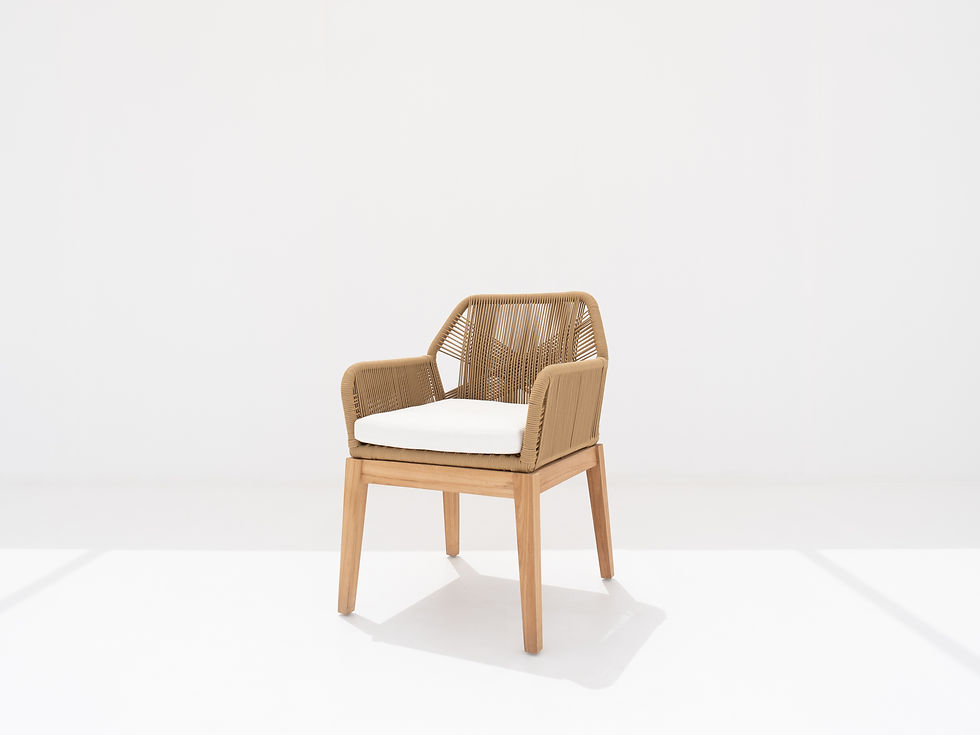 Modern Cordelia Rope Dining Chair