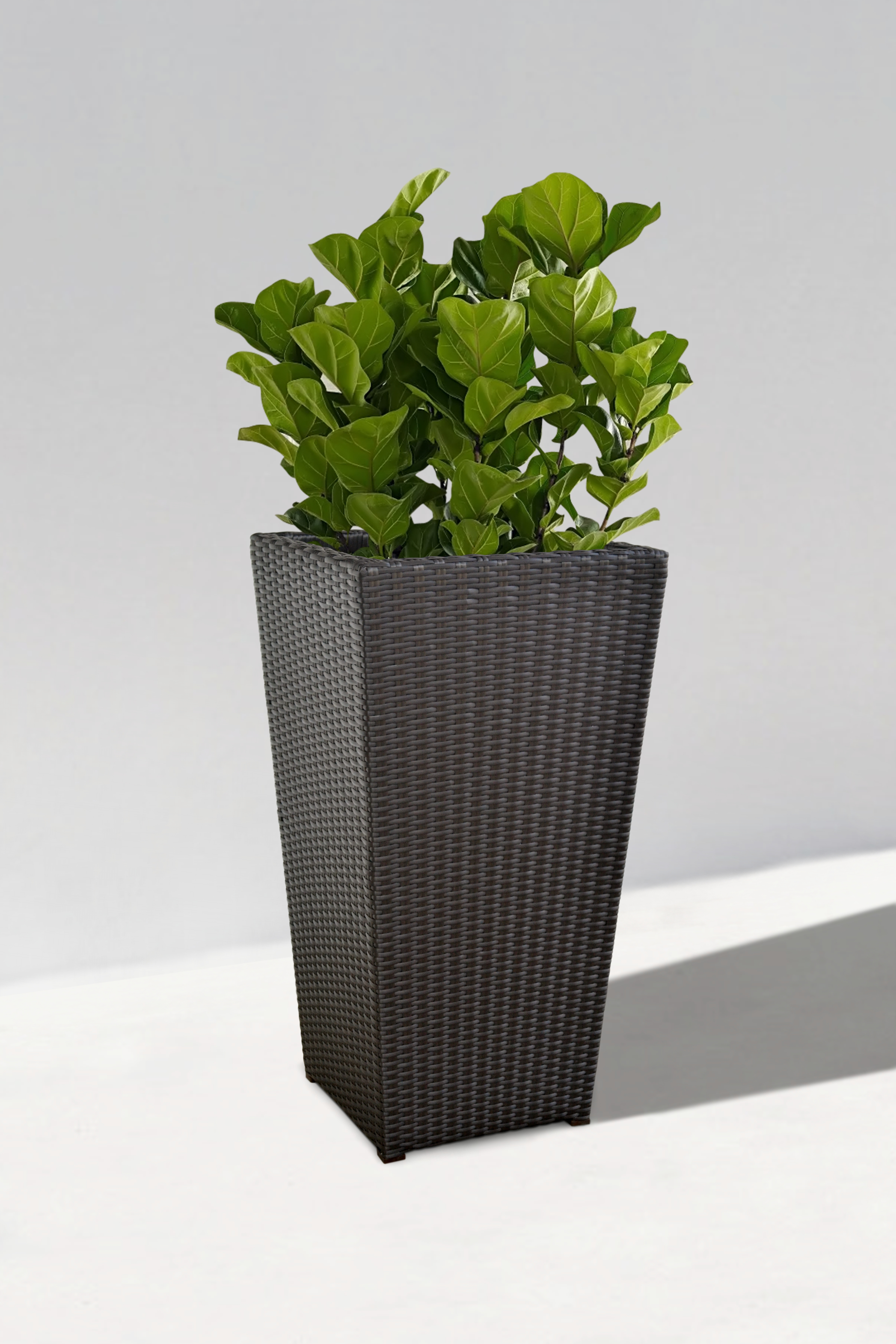 Long Planter