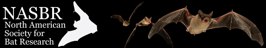 Symposium de la Société nord-américaine de recherche sur les chauves-souris (NASBR)