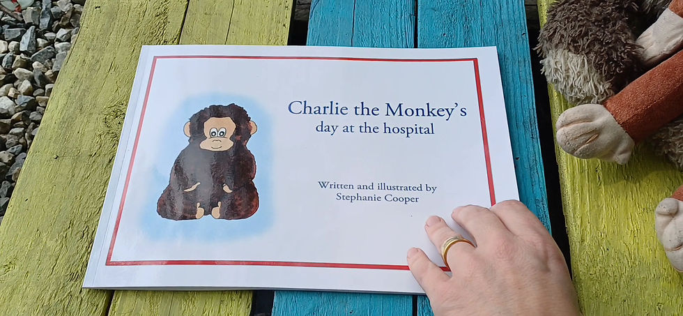 Thumbnail: Charlie Teddy pillow