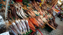 Seokcho fish market