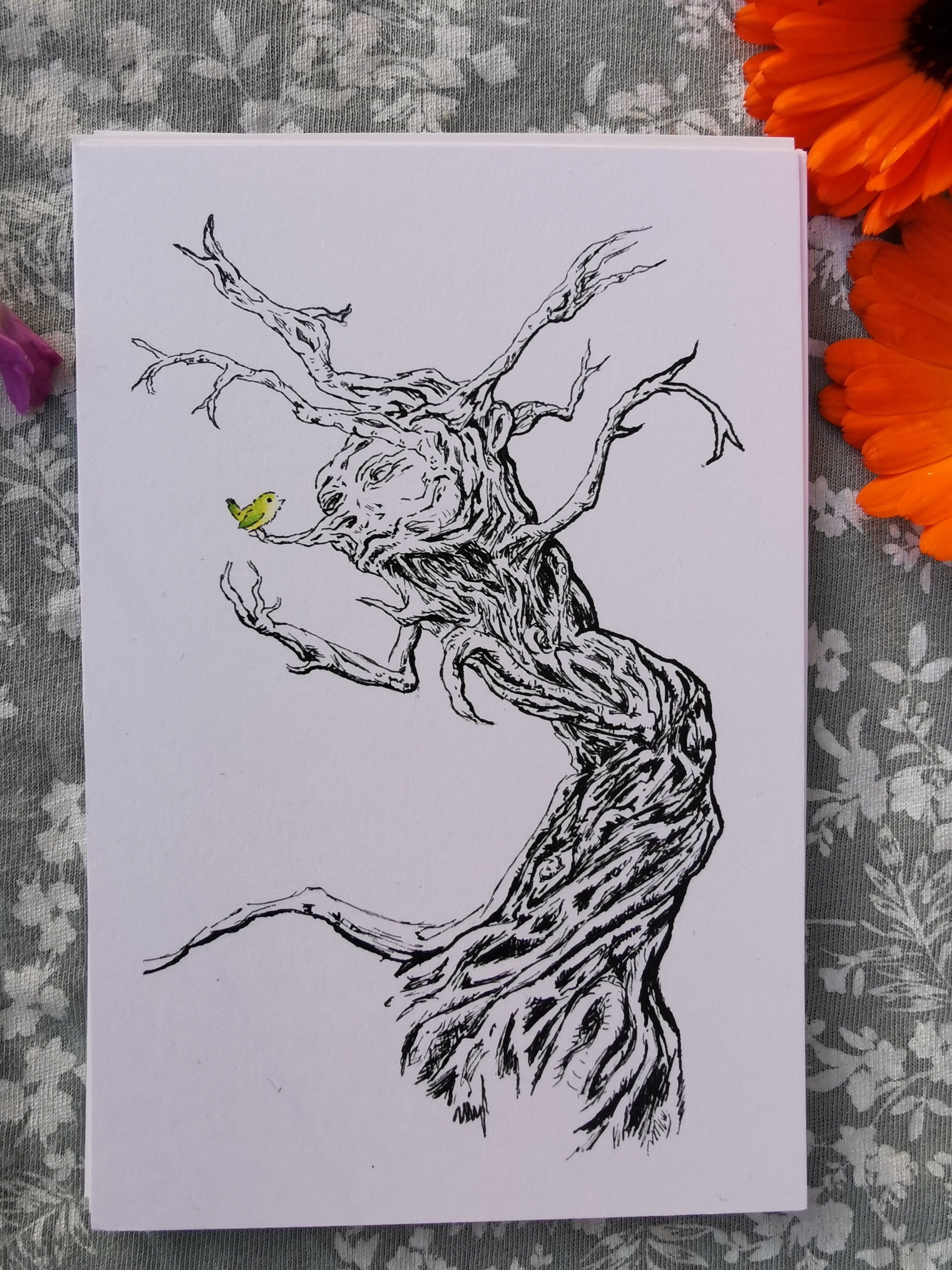 Arbre éveillé et son oiseau (1)