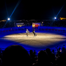 Sound and light management at iDzia during the 2026 Féria du Cheval in Saintes-Maries-de-la-Mer