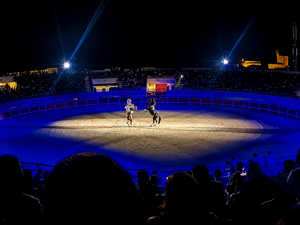 Sound and light management at iDzia during the 2026 Féria du Cheval in Saintes-Maries-de-la-Mer