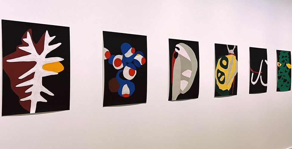 Œuvres de la 34ᵉ Bienal de São Paulo.