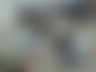 【レポート】「のはらハみどり」2期 Aコース第1回報告(2022/9/18)