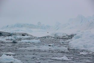 IMG_3270.JPG