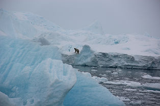 IMG_3286.JPG