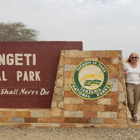 Into the Wild: Safari Through Tanzania