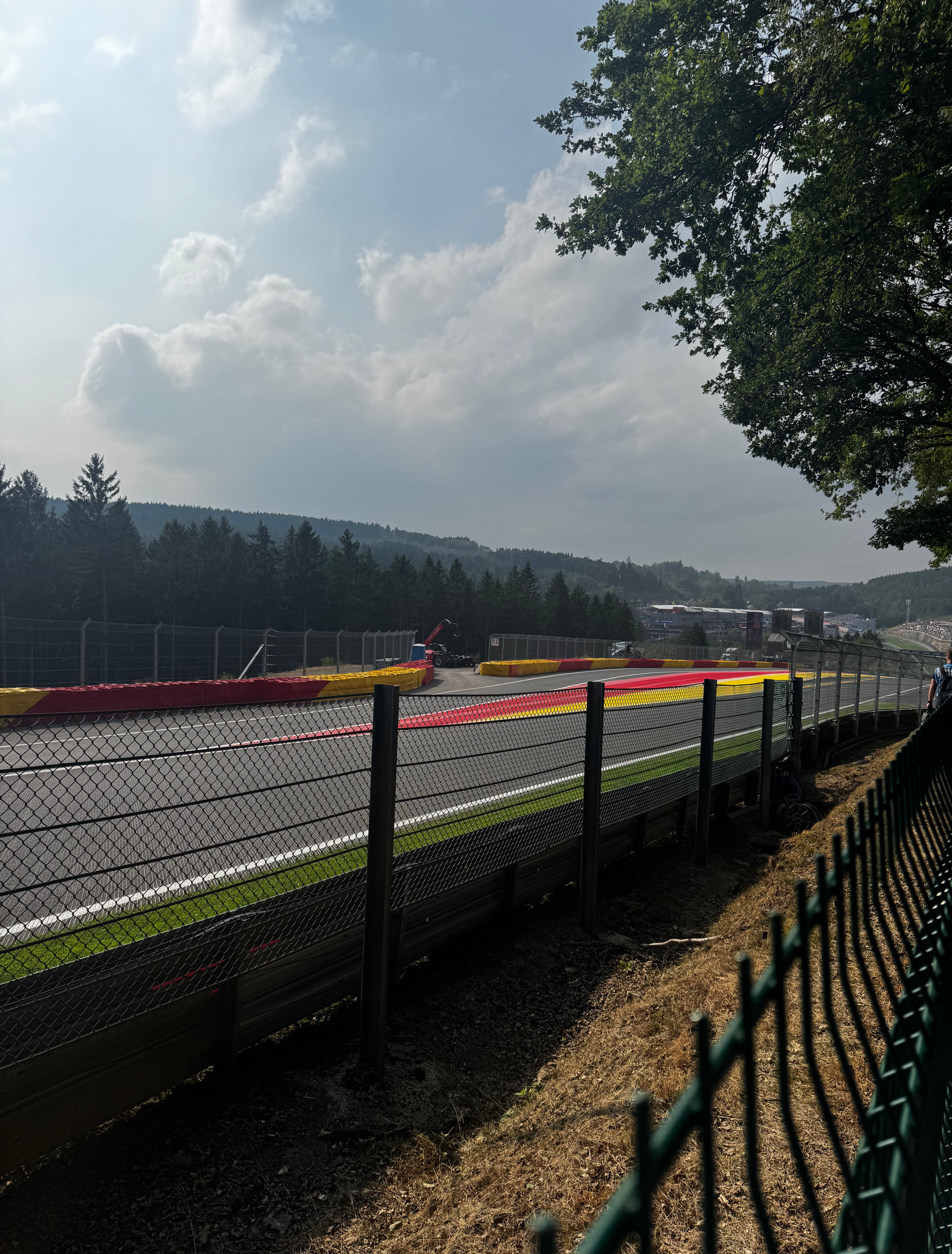 Saturday's spectacular view