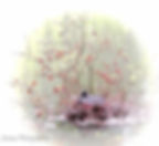 Propositon PE Patricia