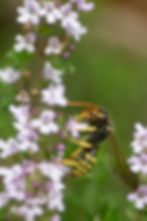 LASALLE-LUDOVIC-GALERIE 11