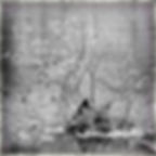 Propositon PE Helene