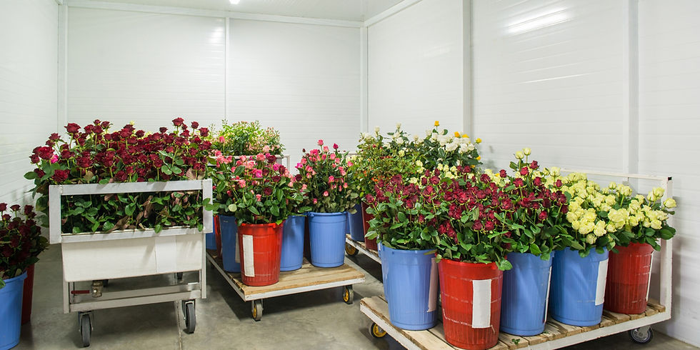 Walk-in Flower Coolers 101