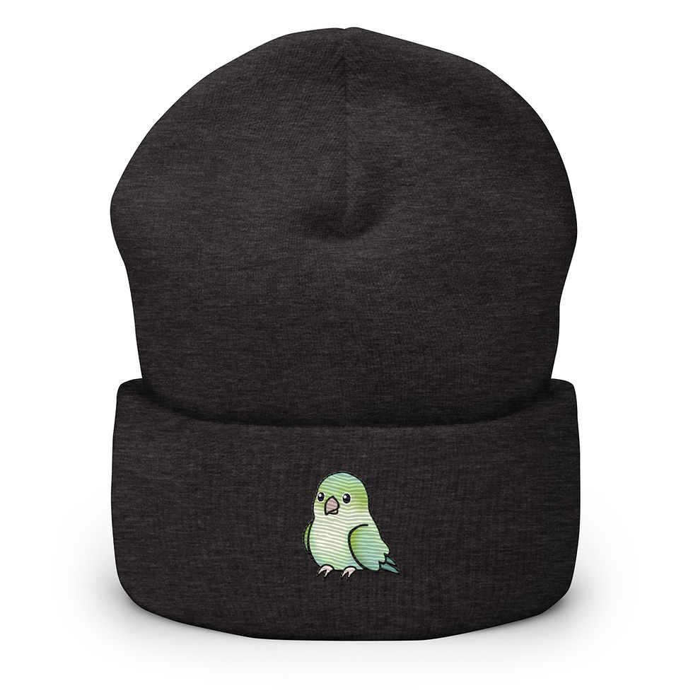 Thumbnail: Pretty Pastel Quaker Cuffed Beanie