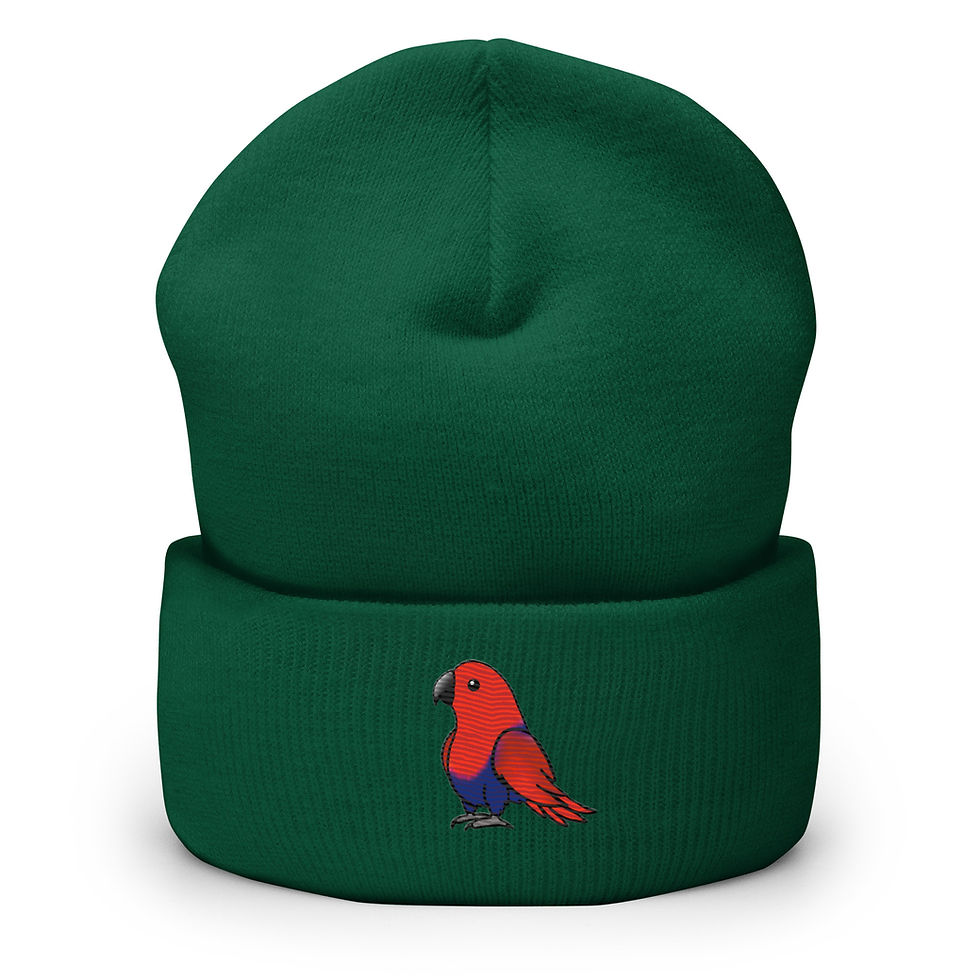 Thumbnail: Female Eclectus Cuffed Beanie