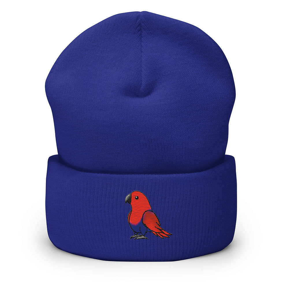 Thumbnail: Female Eclectus Cuffed Beanie