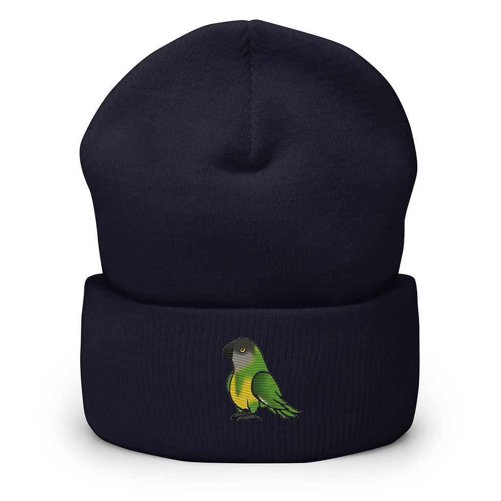 Thumbnail: Sweet Senegal Parrot Cuffed Beanie