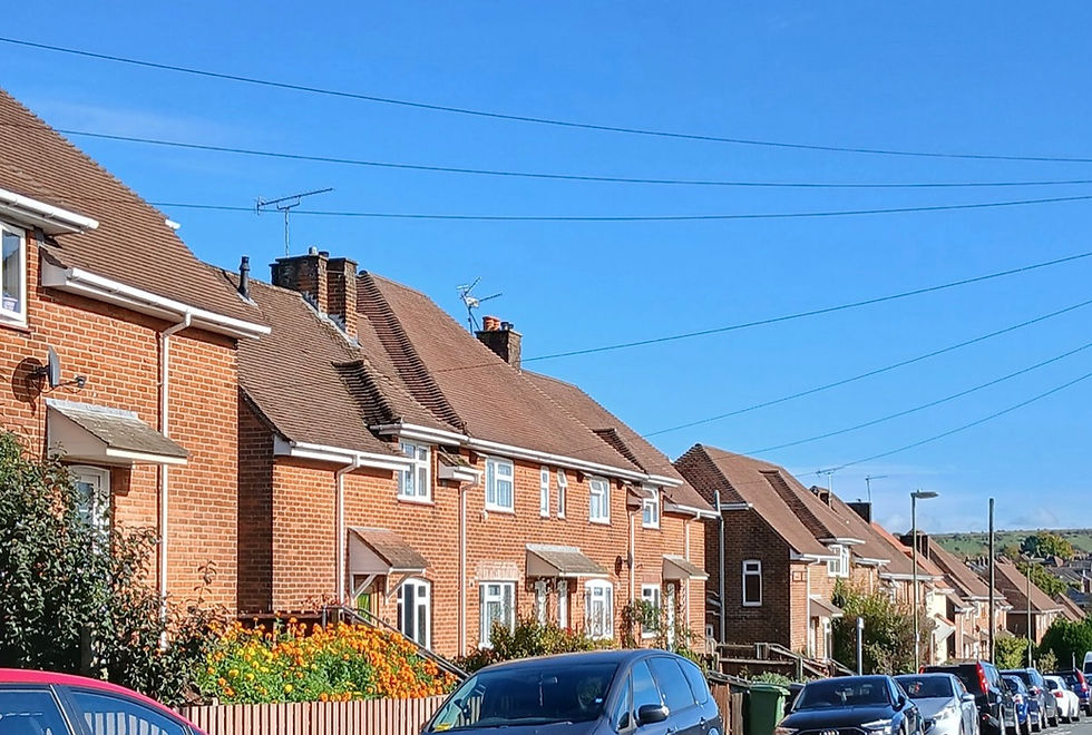 2025 Update on the Swifts Nesting in Highcliffe, Winchester