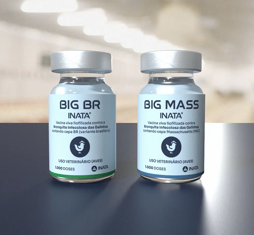 Dois frascos de vacina veterinária para aves, BIG BR e BIG MASS, sobre mesa, em fundo claro, com rótulos azuis.