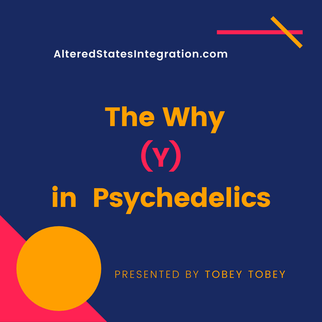 The Why In Psychedelics - Resource Guide