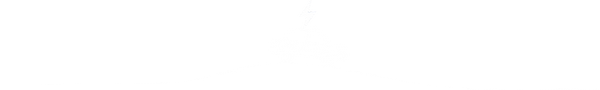 TW E-Car_edited.png