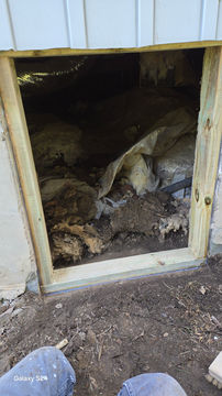 Wildlife damage repairs