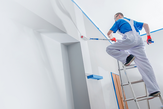 Professional Painting Service