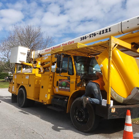 24- hour emergency tree service