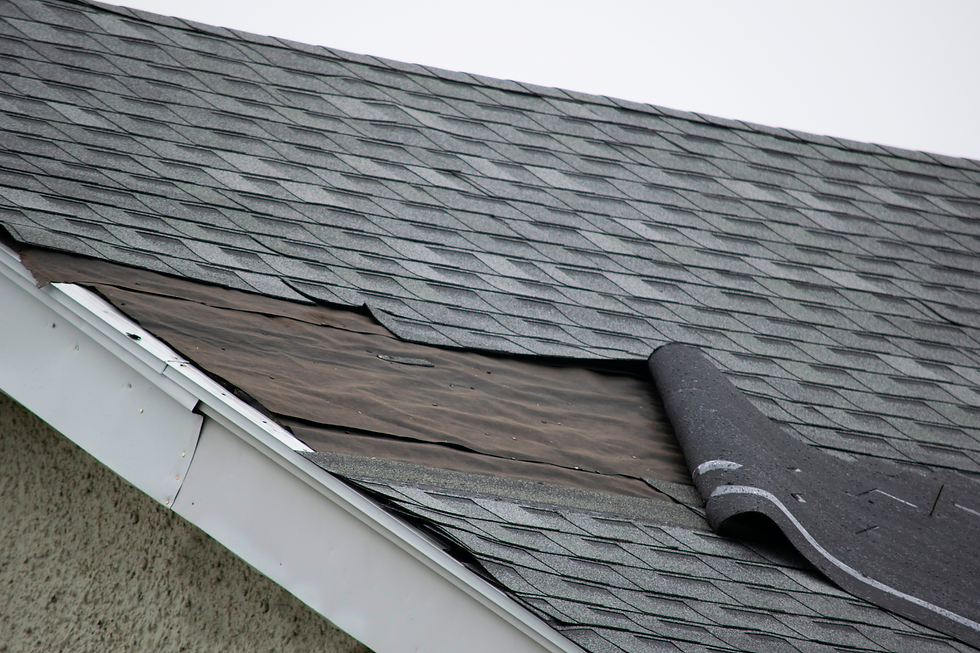 What to Do If Your Roof Starts Leaking: Step-by-Step for Homeowners