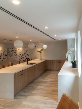 Camden Brickell Interior Design by Andrea Mejia