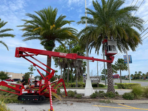 Tree Service for Volusia Mall in Daytona, Florida