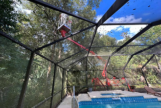Tree Service for Hurricane Preoperation