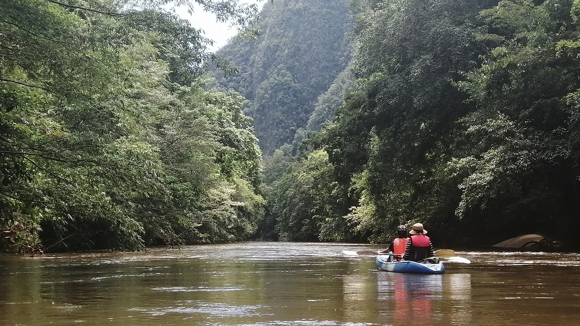 Rainforest Kayaking Adventure