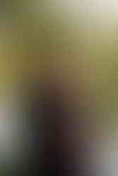 Wedding photographer