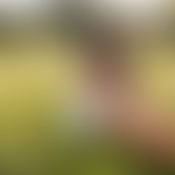 3 Tips To Make the Most of your Senior Session 