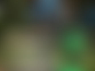 Why Social Media Content Matters More to Your Business Than You Think