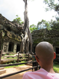 Angkor Wat