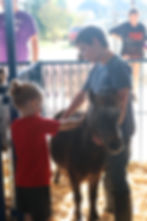Henry assisting with Petting Zoo