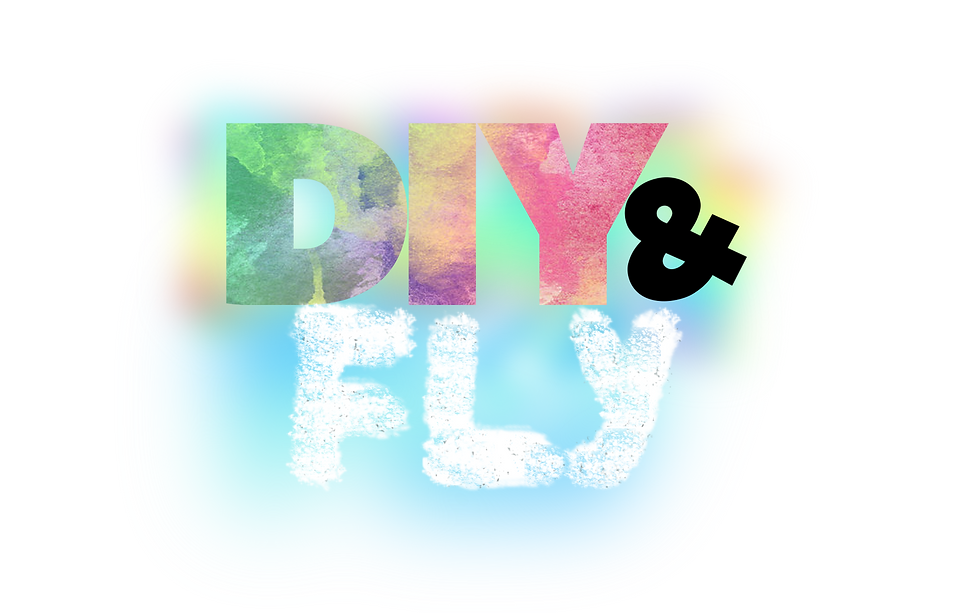 DIY & Fly logo