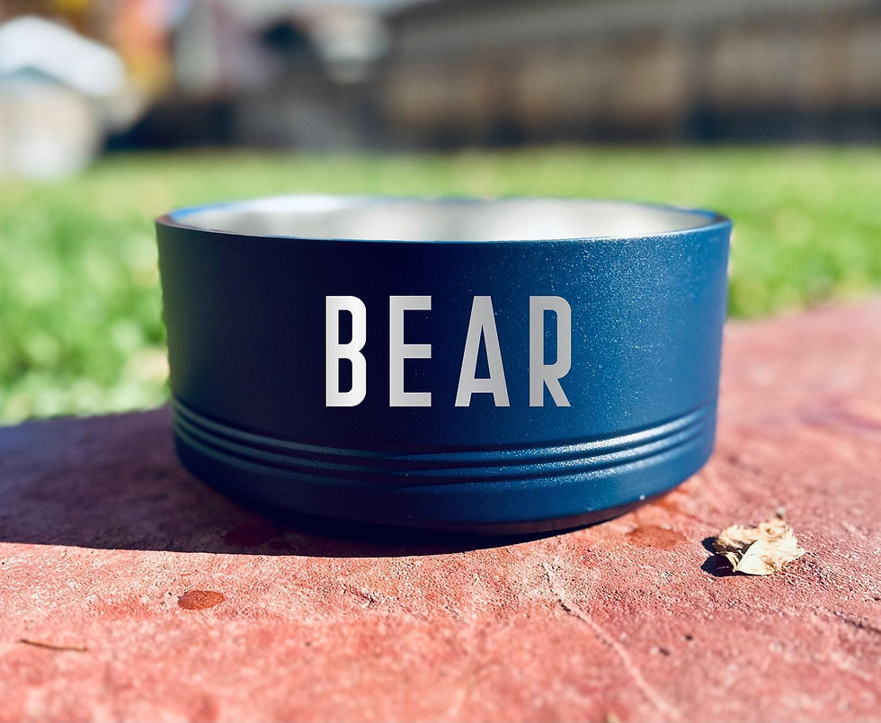Thumbnail: Personalized Pet Bowl: Laser Engraved Stainless Steel Dog & Cat Bowl