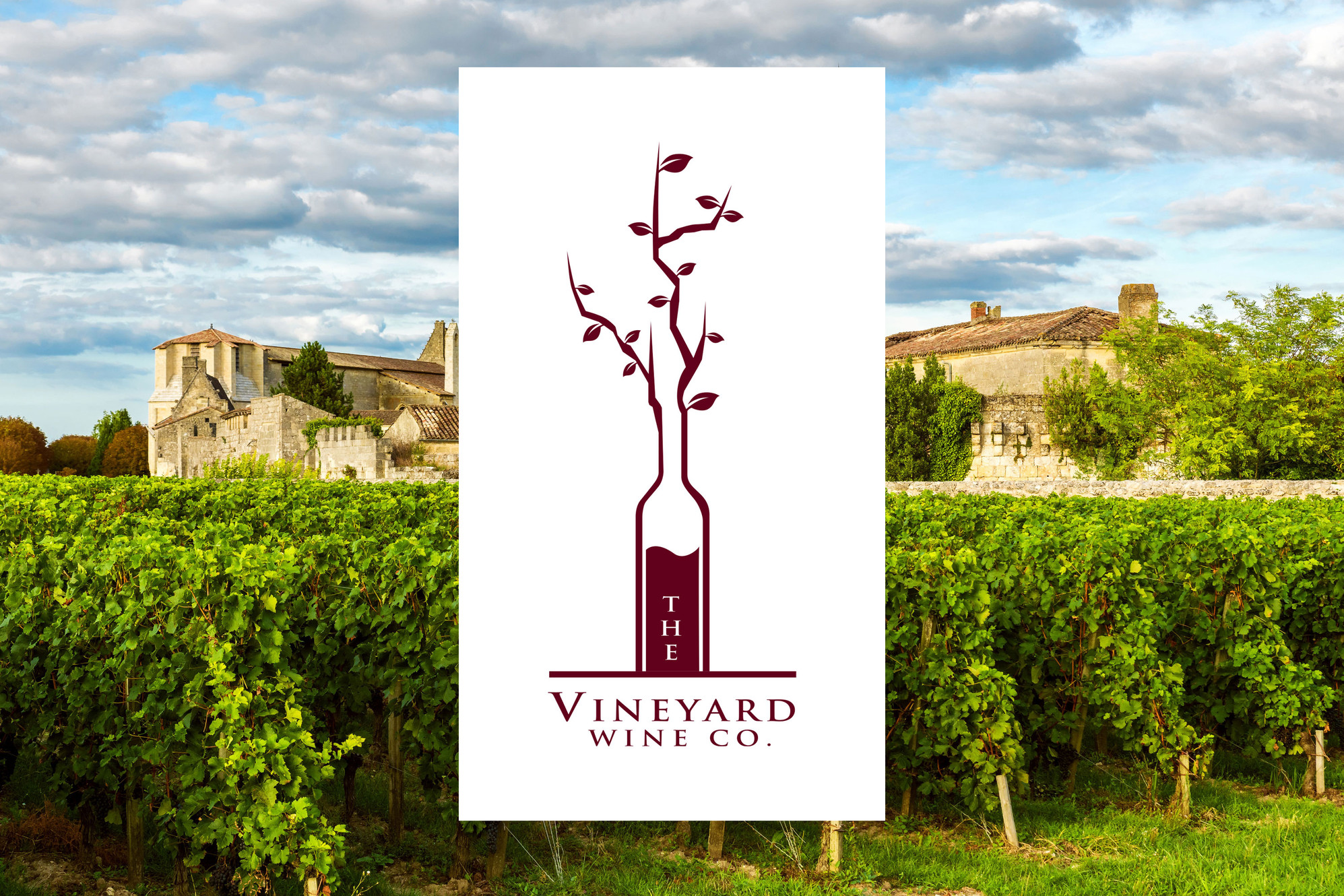 The Vineyard Wine Company photo 1 in Mcallen