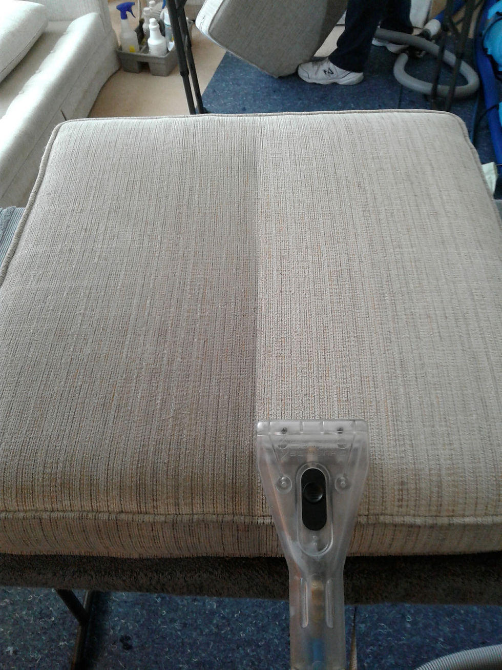 Carpet Cleaner Provo Benchmark Carpet Cleaning