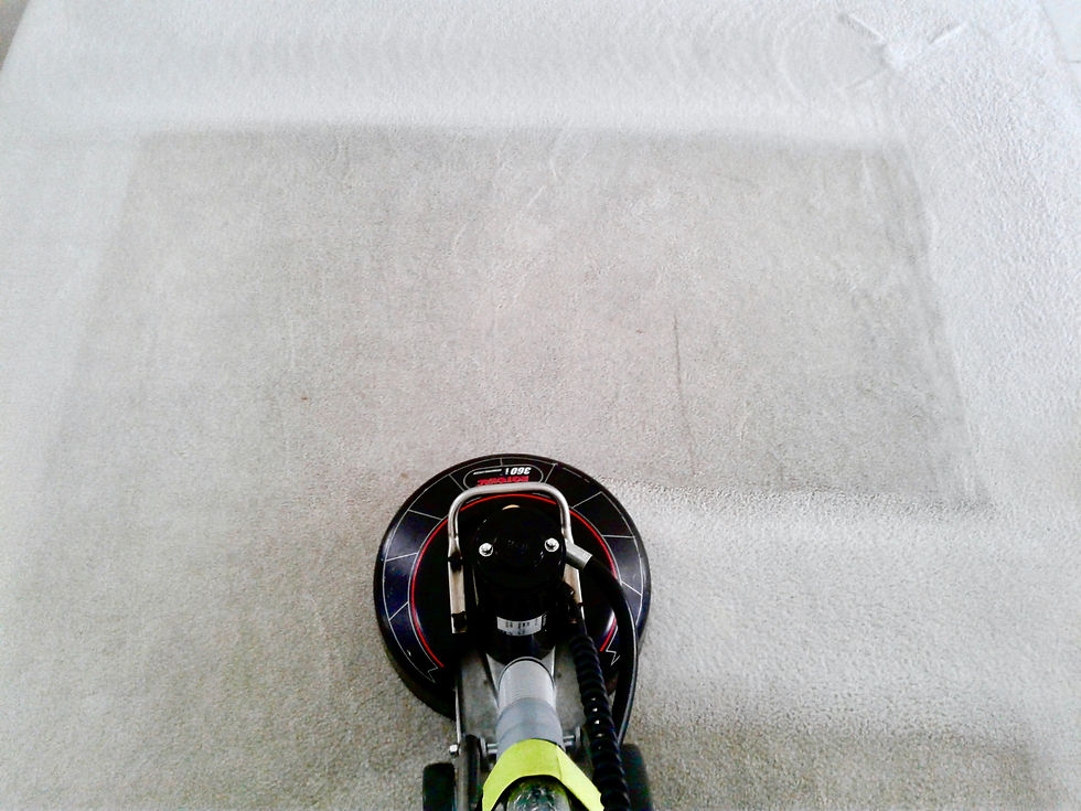 Carpet