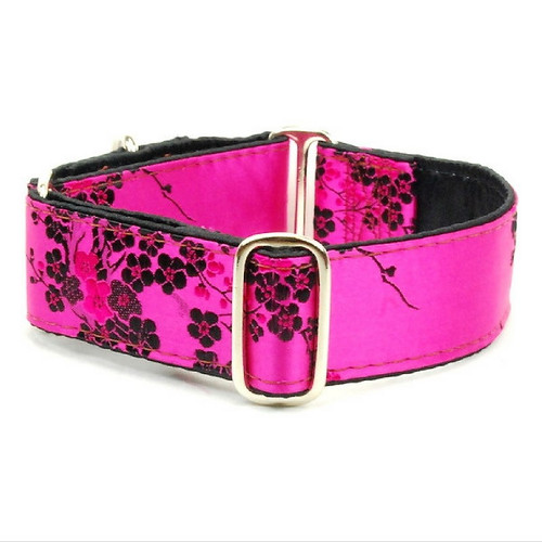 Loyal.D Dog Collars Online Pet Store Singapore
